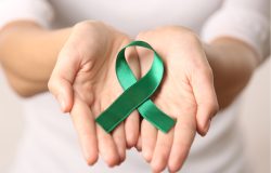 Julho Verde