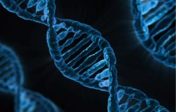 Capacitação em Oncogenética